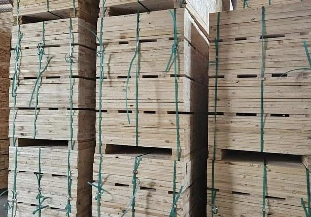 Çemberlenmiş ahşap paketleri ve palet malzemesi istifi