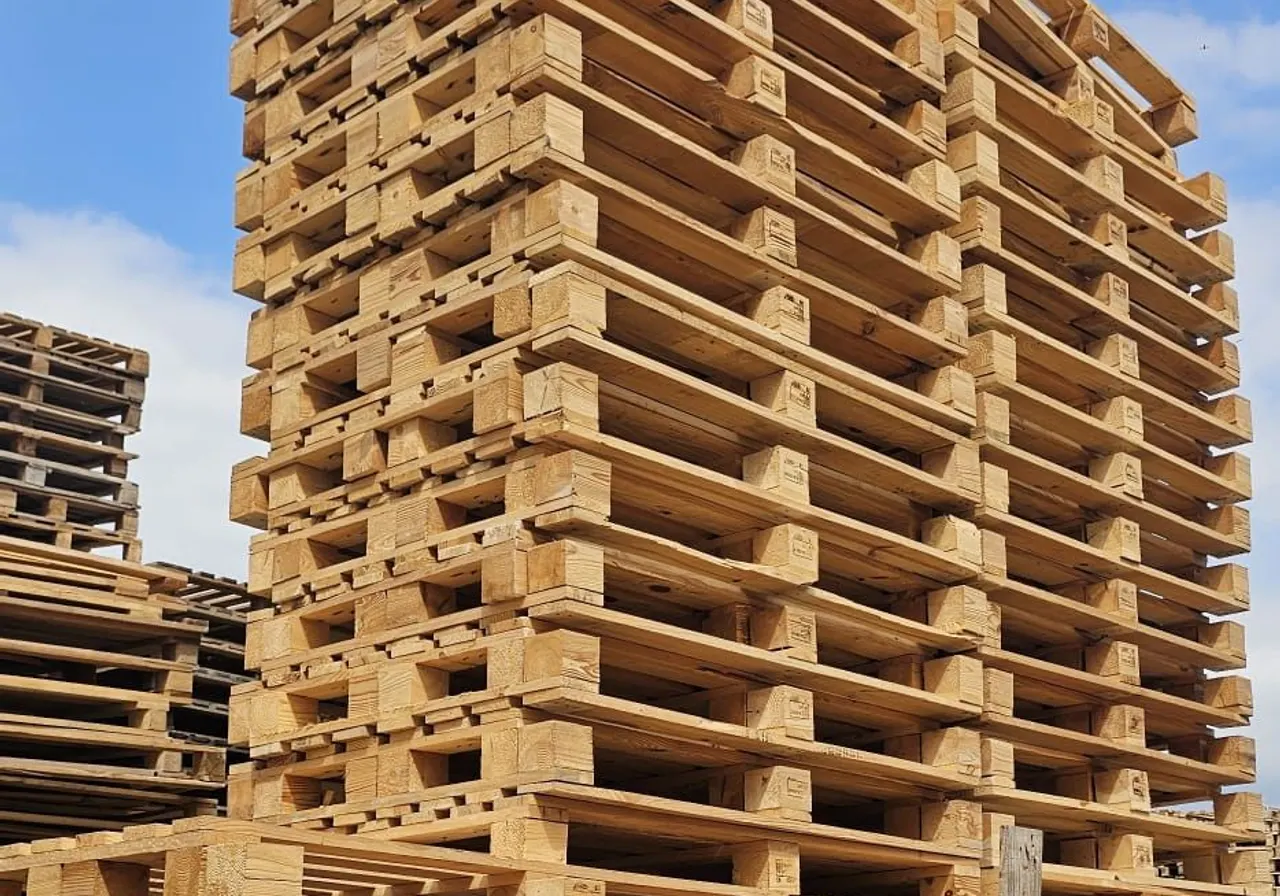 Beton zeminde dikey istiflenmiş sıfır ahşap paletler